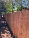 Cedar Fencing any height/style